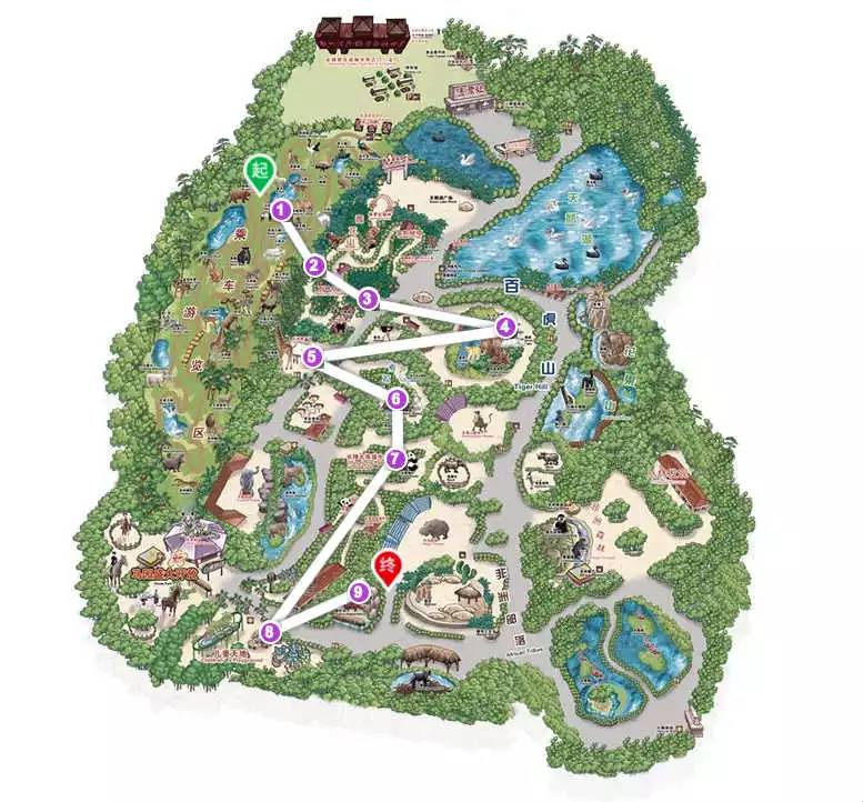 长隆野生动物园一天怎么玩,长隆野生动物园一天游不完怎么住