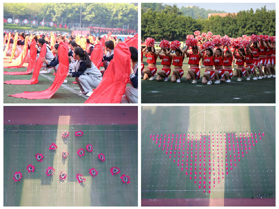 春季田径运动会报道,以逐梦青春为主题田径运动会