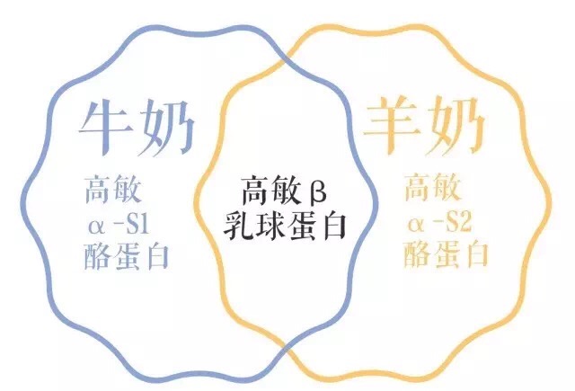 三个月宝宝湿疹和过敏有区别吗,6个月宝宝老是起湿疹是过敏吗