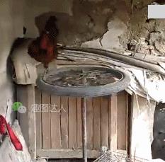 上班就像一条虫,上班是条虫下班是条龙壁纸