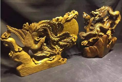 楠木家具金丝楠,金丝楠的楠木苗