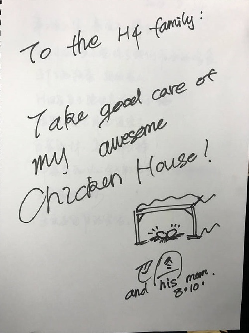 赵丽颖参加向往的生活可爱片段,向往的生活何老师和谢依霖的对话