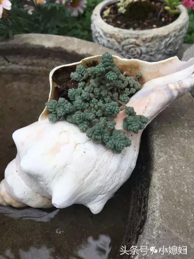 与中央电视台就《深耕云南》筹拍洽谈工作第一次正式会面