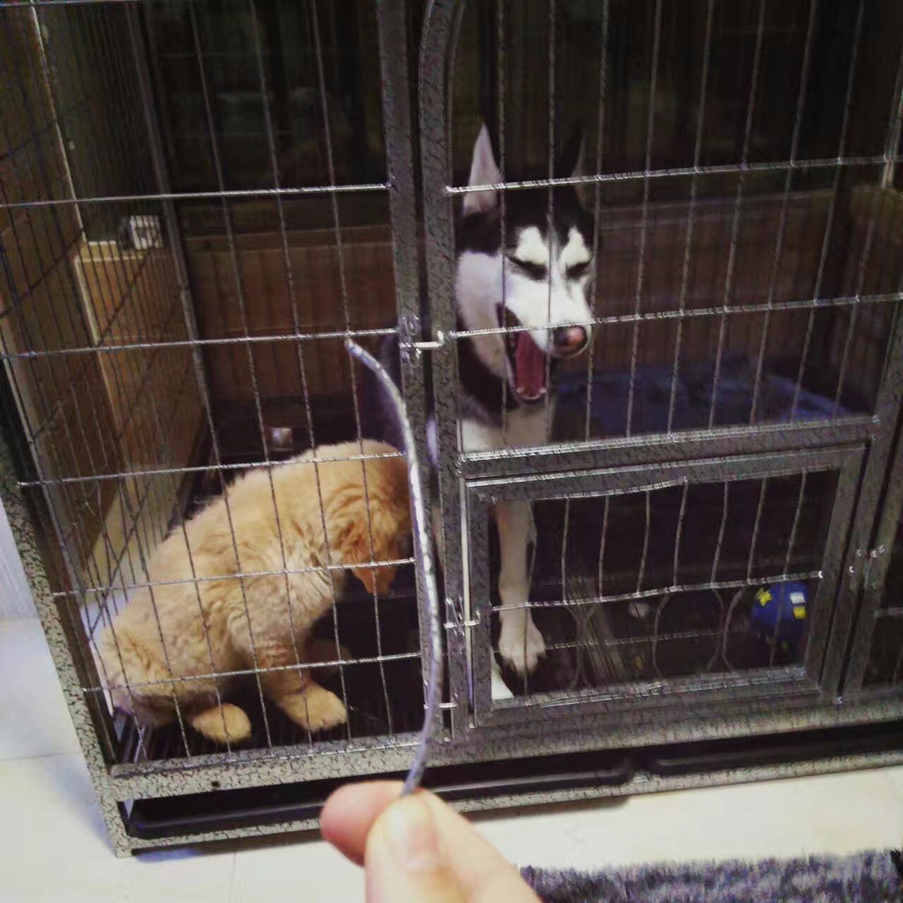 原谅我这一生不羁放纵完整版,原谅我这一生不羁放纵群星版