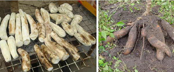 最正宗的非洲美食,非洲好吃的美食合集