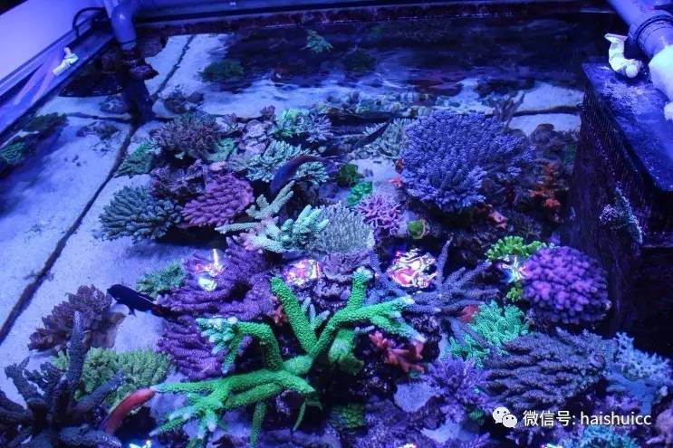 蛋炒饭的配方与做法,蛋炒饭的秘制酱料该怎么做