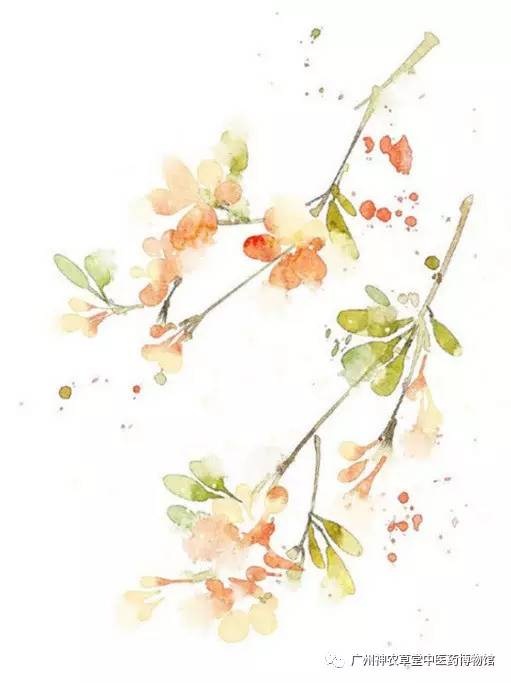 大便为什么会粘马桶,大便为什么会粘厕所