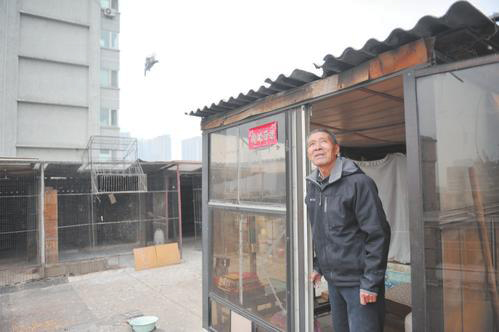 太原市鸽将军,太原鸽将军