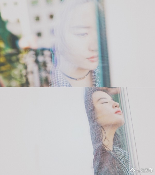 刘亦菲明星八卦,刘亦菲现在的绯闻