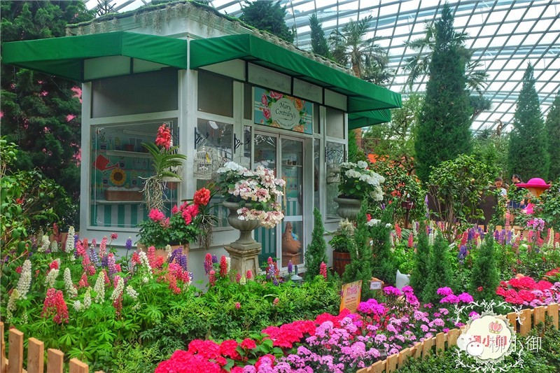 春节旅游新加坡,还能不能春节旅游去新加坡