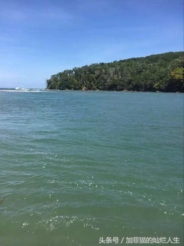 马来西亚亚庇到美人鱼岛,亚庇美人鱼岛游记