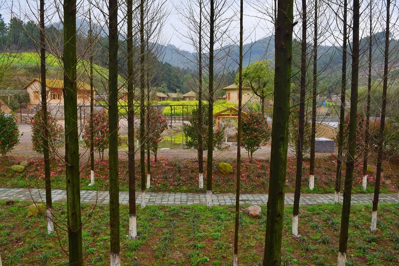 城山沟桃源山庄价格,桃源山庄享受大自然