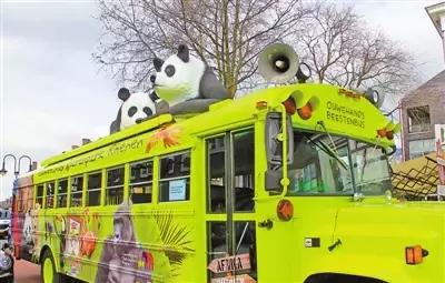 荷兰迎接中国大熊猫,大熊猫在国外有警车开道
