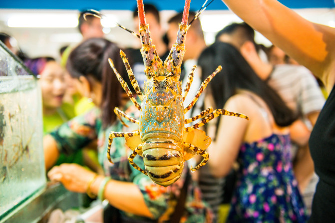 蓝天白云,椰风海韵,去三亚散散心吧