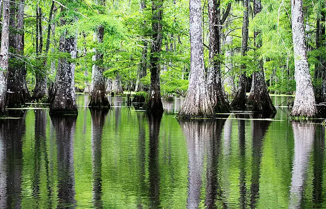 全美风景最美的国家公园,全美50大州立公园