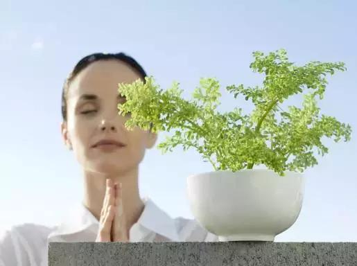 好转反应有哪几种,好转反应和加重反应的区别