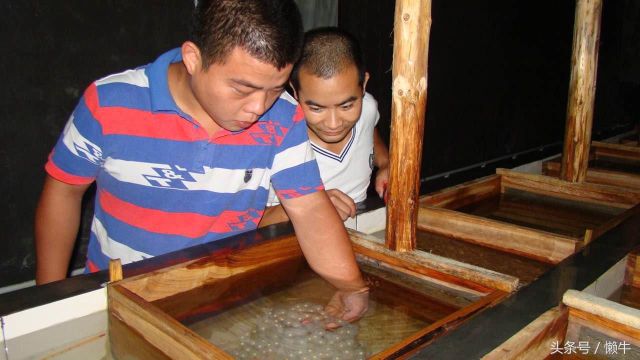 执着少年放弃外企高薪身居大山养大鲵，3年亏损上百万仍不言放弃