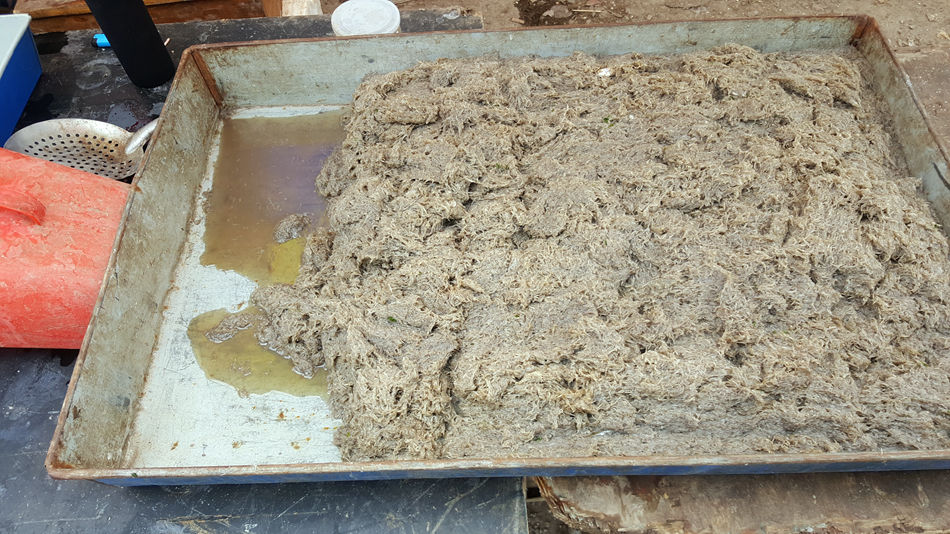 唐山市乐亭县大集,河北唐山乐亭大集