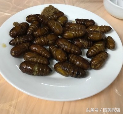 家庭做饭推荐菜,在家做饭简单又好吃单人