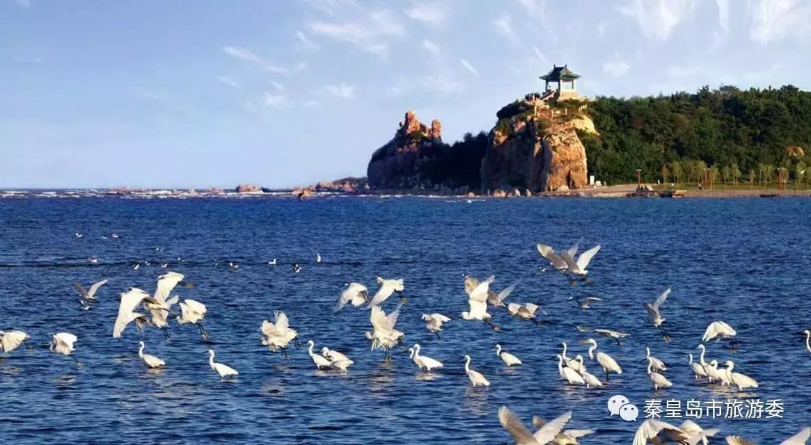 给所有秦皇岛人,这里有一份春天请你查收!