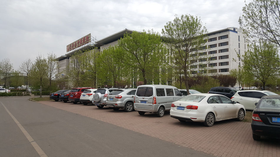 唐山市乐亭县大集,河北唐山乐亭大集