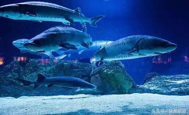 沙尘暴来了，好动的宝宝该去哪里玩？