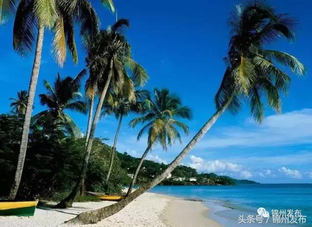 锦州至海南飞机票多少钱,长沙到锦州飞机票是多少钱