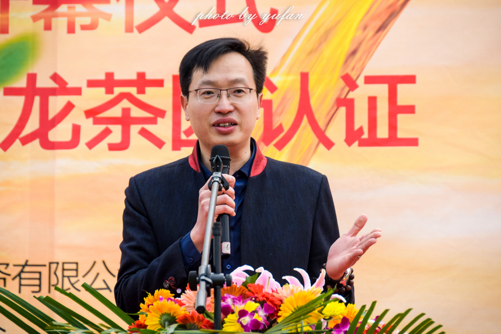 云端上的世外桃源，看看浇灌牛奶和土鸡蛋的有机乌龙茶长成啥样