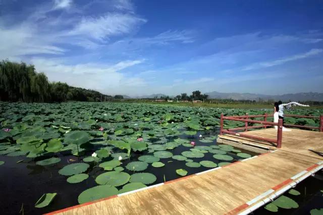 闀胯蛋澶т細鐜板満鐩存挱,2021闀胯蛋澶т細