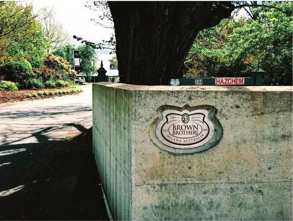 十大好喝的起泡酒,好看又好喝的起泡酒