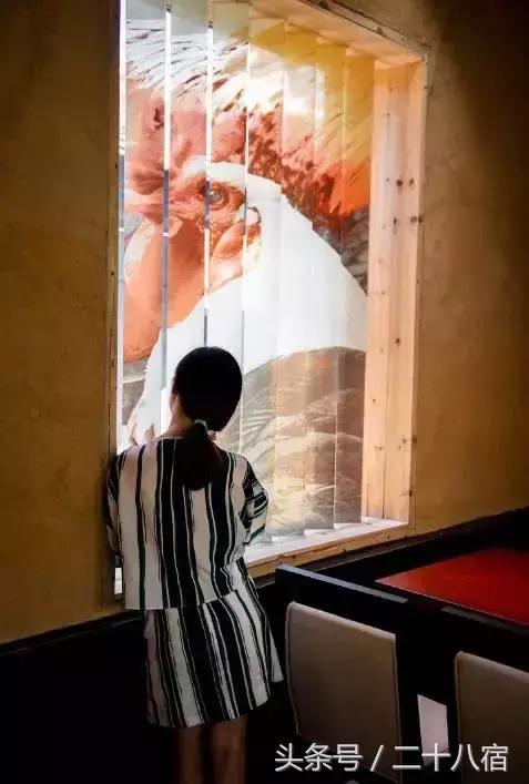 茑舍|明清古街里的民宿,在这里一分钟有80秒长