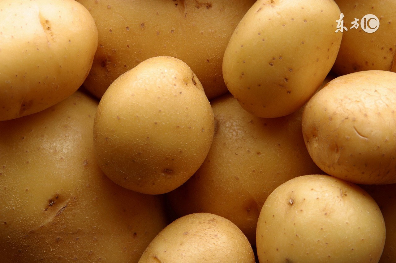 运城市春季土豆种植,北方春季种植土豆