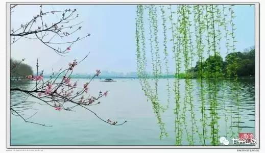 甘谷教师刘芳咏江南诗词欣赏