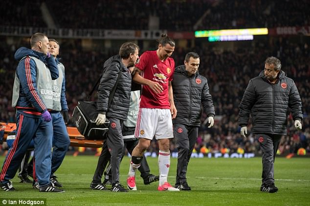 魔力鸟落泪,魔力鸟哭泣