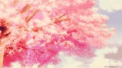 安溪最好看的风景,安溪哪个风景好