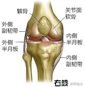 张力是治愈膝关节退化唯一可行的方法