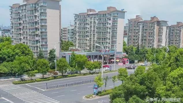 天平学院是公办的吗,苏州天平学院全国排名