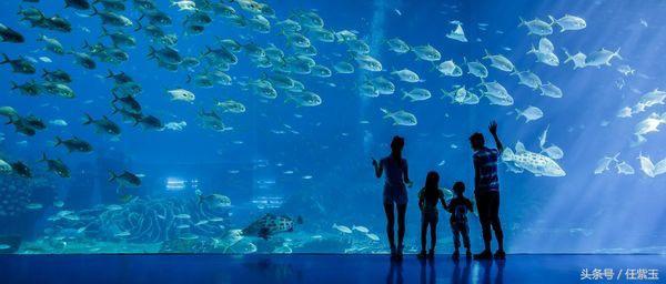 长隆海洋王国亲子游路线,一天游珠海长隆海洋王国亲子攻略