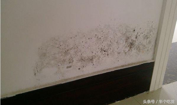 墙面返潮该找什么人修,装修返潮墙面怎么处理
