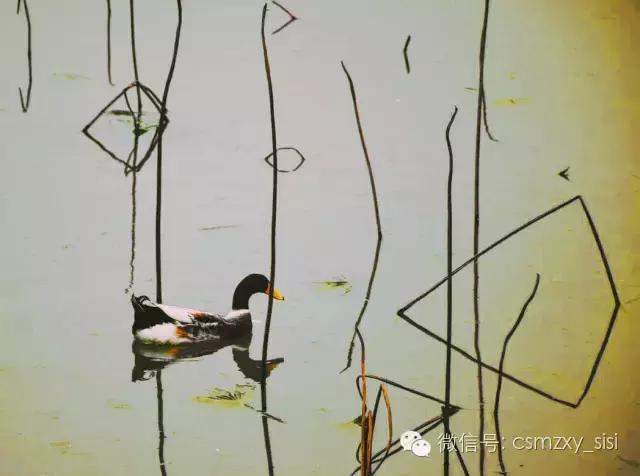 长沙民政职业学院哪个专业最好,长沙民政学院2022录取名单