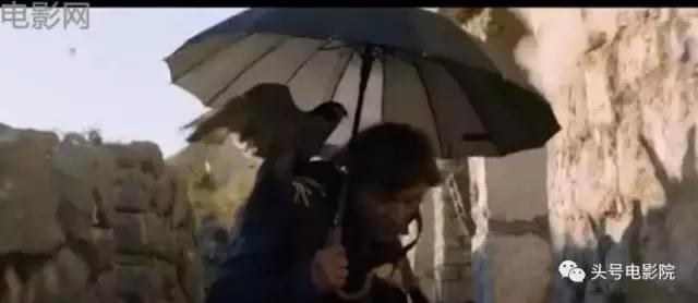 敢让这位国宝级女神上山下水也只有这位张艺谋的老朋友了