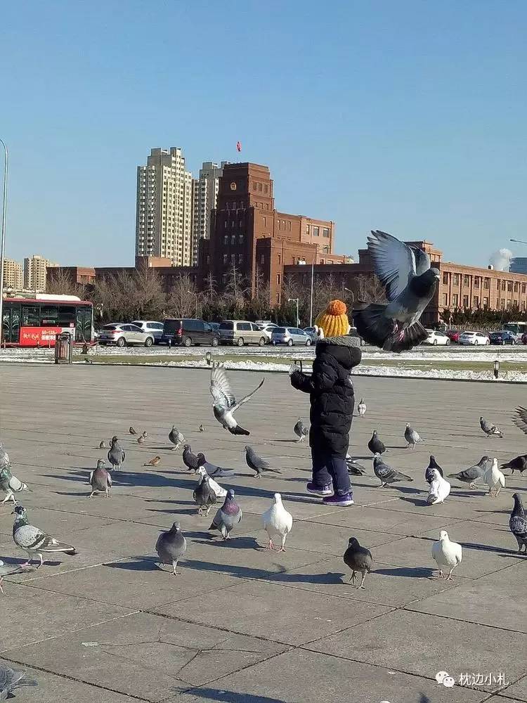 冬天大连看海旅游攻略,冬季到大连去看海