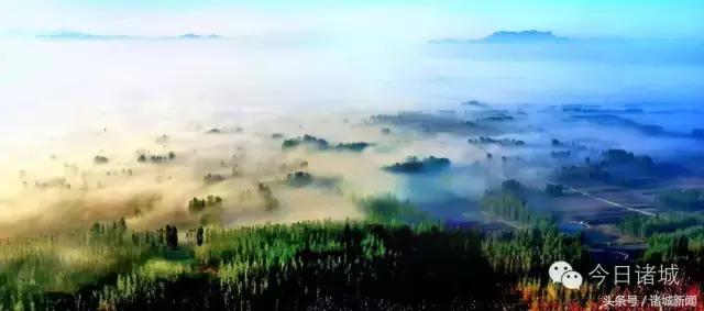 北漂姑娘的辞职信,一位姑娘的辞职信火了