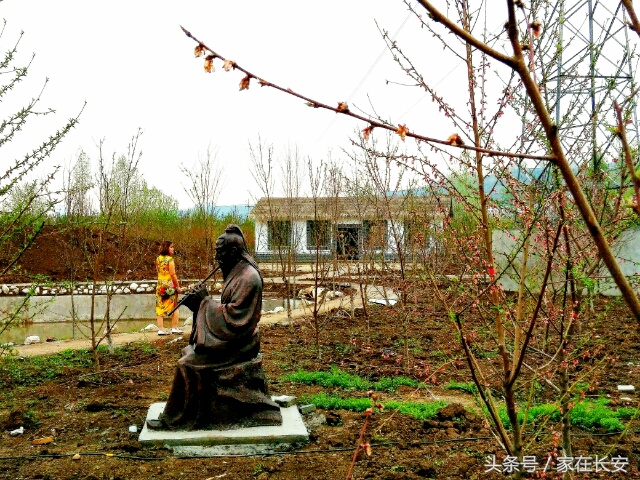 西安城南,樊川胜景人面桃花园,2017年4月29日隆重开园!