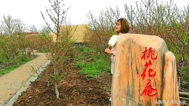 西安城南,樊川胜景人面桃花园,2017年4月29日隆重开园!