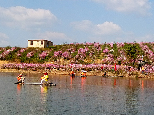 马龙森林氧吧,马龙周边都是山的公园