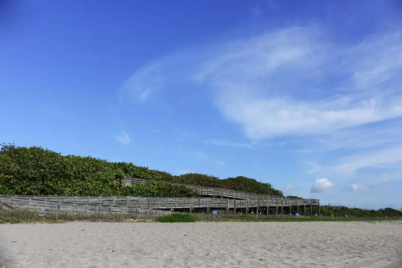 佛罗里达海滩游玩攻略,来迈阿密旅游