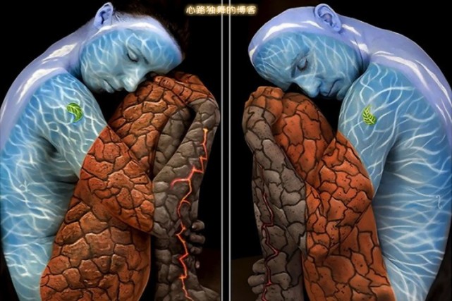 艺术家用自然物制作的作品图片,艺术家用自然的图案变成图谱