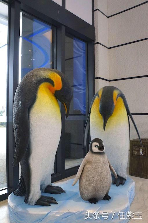 长隆海洋王国亲子游路线,一天游珠海长隆海洋王国亲子攻略