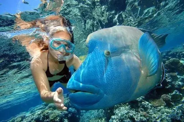 武汉五一去哪儿玩人少,五一去哪里玩武汉人少